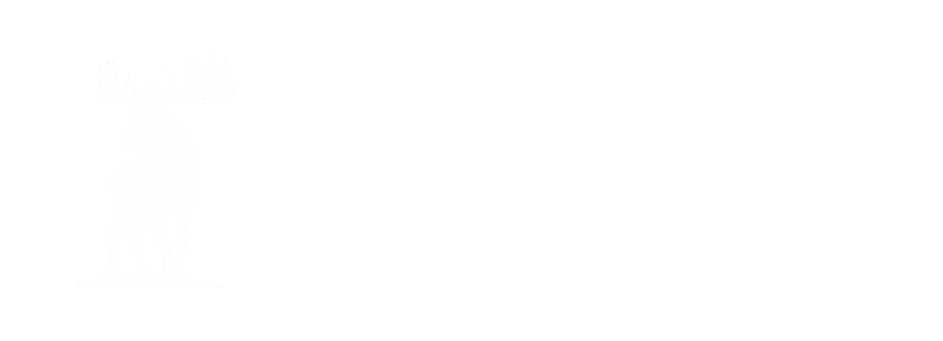 Big Moose Moving Logo
